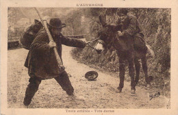 FOLKLORE - AUVERGNE - Trois Entêtés - Âne - Carte Postale Ancienne - Danze