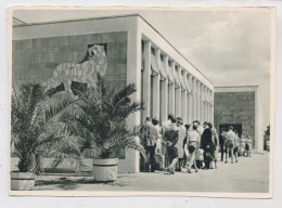 1000 BERLIN - FRIEDRICHSFELD, Tierpark Berlin (Zoo), Alfred - Brehm Haus, 1968 - Hohenschoenhausen