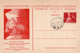 Delcampe - MAGYAR POSTA/UNGARN :1947: Y.858 On Maximum Card :  GYÖRGY DÓZSA,ESPERANTO,TAAL,LANGUE,LANGUAGE - Maximumkarten (MC)