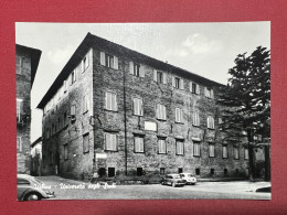 Cartolina - Urbino - Università Degli Studi - 1950 Ca. - Urbino