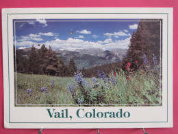 Etats-Unis - Colorado - Vail - High Country Wild Flowers - R/verso - Autres & Non Classés