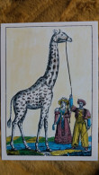 CPM LA GIRAFE DE CHARLES X BOIS GRAVE DE GEORGIN DEBUT 19 EME SIECLE IMAGES D EPINAL PELLERIN - Giraffen