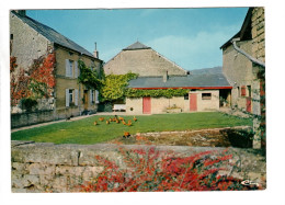 Torgny Cour - Rouvroy