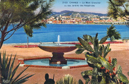 FRANCE - 06 - CANNES - Le Mont Chevalier - Vu Des Jardins Des Hespérides - Carte Postale Ancienne - Cannes