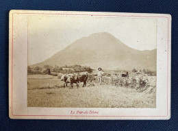 Le Puy De Dôme * Photo CDV Cabinet Circa Fin 19ème * Attelage De Boeuf Agricole Labur Labourage Agriculture - Sonstige & Ohne Zuordnung