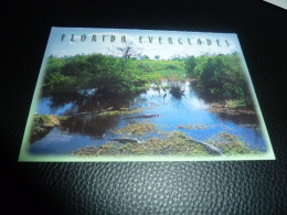 Florida Everglades - Alligators And Heron - 963 7694 - Editions Scenic - - Orlando