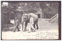 ELEPHANT - ELEFANT - ELEFANTE - B ( ANGLES ARRONDIS ET TIMBRE ARRACHE AU DOS ) - Éléphants