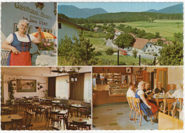 Alkersdorf, Berndorf - Gasthaus Zur Blutalm (J. Und E. Steiner) - (NÖ., Österreich/Austria) - Berndorf