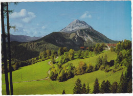 Naturpark Ötscher-Tormäuer - NÖ Naturschutzbund - (NÖ., Österreich/Austria) - Lilienfeld