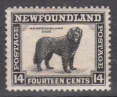 Canada Newfoundland 1932/1941 Mi#179 C, Perforation 12 1/2, Mint Never Hinged - 1908-1947