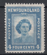 Canada Newfoundland 1947 Mi#243 Mint Never Hinged - 1908-1947