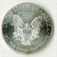 STATI UNITI - UNITED STATES - ONCIA ARGENTO 999 - ANNO 2013 - UNCIRCULATED - NON CIRCOLATA - 1 ONCIA - Argent