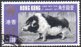 HONG KONG - Sanglier (Sus Scrofa Domestica) - Used Stamps