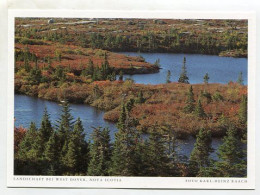AK 128478 CANADA - Nova Scotia - Landschaft Bei West Dover - Autres & Non Classés