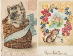 Lot 4 Cpa CHATS / CHATONS 1/ Dans Panier 2/ Devant Papillon 3/ Renversant Un Vase De Fleurs 4/ Jouet Oiseau à Roulettes - Katten