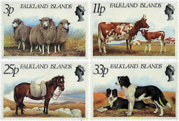 50890 MNH FALKLAND 1981 ANIMALES DOMESTICOS - Chevaux