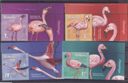 2021, Romania, Flamingos, Animals, Birds, 4 Stamps + Label, MNH(**), LPMP 2336 - Ongebruikt