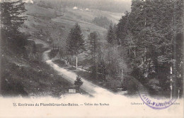 FRANCE - 88 - Environs De Plombières-les-Bains - Vallée Des Roches - Carte Postale Ancienne - Plombieres Les Bains