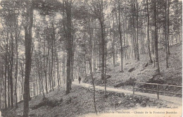 FRANCE - 88 - Environs De Plombières - Chemin De La Fontaine Stanislas - Carte Postale Ancienne - Plombieres Les Bains