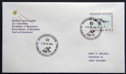 Greenland 1991 Cover    KANGERLUSSUA   (lot  845 ) - Lettres & Documents