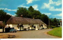 THE SIR JOHN BARLEYCORN NEW FOREST - Southampton