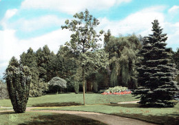 CELLES : Institut De La Visitation - Vue Du Parc - Affr Philatélique - Photo Véritable - Celles