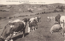 Jura* Au Pâturage * Troupeau De Vaches Aux Champs - Autres & Non Classés