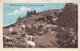 Orgelet * Notre Dame Du Mont Orgier * Troupeau Vaches - Orgelet