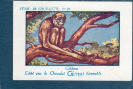 Chromos Iles Du Pacifique Nouvelle Calédonie Série M Singe Gibbon Pub: CEMOI TB 75 X 50 Mm Colonies Françaises - Other & Unclassified