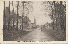 86 VIENNE Cpa PLEUMARTIN Route De Chatellerault - Pleumartin