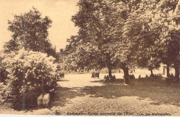 BELGIQUE - ANDENNE - Ecole Normale De L'etat - Carte Postale Ancienne - Andenne