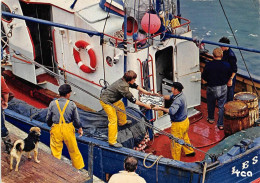 Non Localisé          29      Déchargement De Poissons        10 X 15   (voir Scan) - Andere & Zonder Classificatie