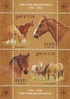 Estonia Estland 2006 Horses Block Mint - Chevaux