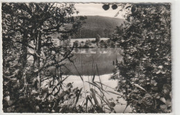 Ursee Bei Lenzkirch Im Hochschwarzwald, Baden-Württemberg - Hochschwarzwald