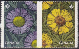 699765  CANADA 2017 FLORES - MARGARITAS - Andere & Zonder Classificatie