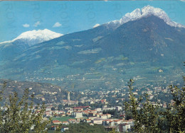 CARTOLINA  MERANO M.311,TRENTINO ALTO ADIGE-PANORAMA-VACANZA,RIFUGIO,VACANZA,MONTAGNA,BELLA ITALIA,VIAGGIATA 1984 - Merano