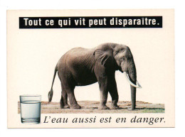 Elephant: Tout Ce Qui Vit Peut Disparaitre, L'Eau Aussi Est En Danger, Photo: Redhead-Pix (23-261) - Éléphants