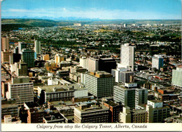 Canada Calgary From Atop The Calgary Tower - Calgary