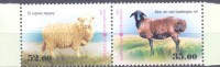 2015. Kyrgyzstan, Breeds Of Sheep, 2v Perforated, Mint/** - Kirghizistan