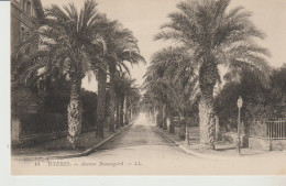 C.P. - HYERES - AVENUE DE BEAUREGARD - 14 - ALLEE DE PALMIERS - L. L. - La Valette Du Var