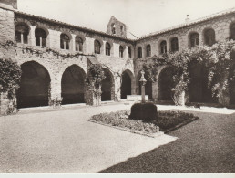 C.P. - PHOTO  - SAINTE ROSELINE - LES ARCS DE PROVENCE - LE CLOITRE - ARTISTES PAYSAGISTES -  7000 - Les Arcs