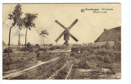 Keerbergen  Windmolen  Moulin à Vent - Keerbergen