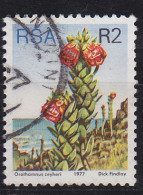 SÜDAFRIKA SOUTH AFRICA [1977] MiNr 0528 A ( O/used ) Pflanzen - Gebruikt