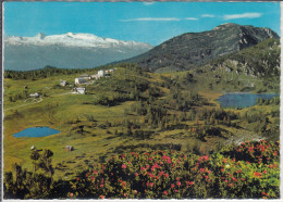 TAUPLITZ - TAUPLITZALM Mit Großsee, Schneiderkogel, Lawinenstein, Blick Auf Dachstein - Tauplitz