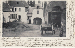 CP Tervuren Tervuren Vieille Ferme 1900 - Tervuren