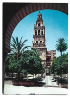 PATIO DE LOS NARANJOS Y CAMPANARIO DE LA MEZQUITA.-  CORDOBA.- ANDALUCIA.- ( ESPAÑA ) - Córdoba