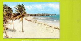 Sam Lords Beach St Philip Barbados - Barbados (Barbuda)