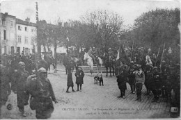 Le Drapeau Du 1er Régiment De La Légion étrangère Pendant Le Défilé - Chateau Salins