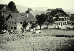 BAUMA Restaurant Gasthaus Schindlet - Bauma