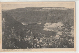 Bad Liebenzell, Calw, Schwarzwald, Baden-Württemberg - Calw